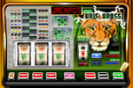 Powerjackpot Gokkast kriskross